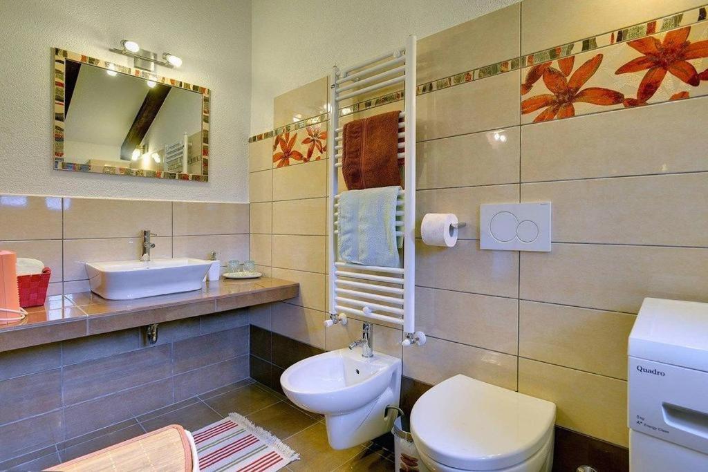 Vila Casa Karnevali Žminj Exteriér fotografie