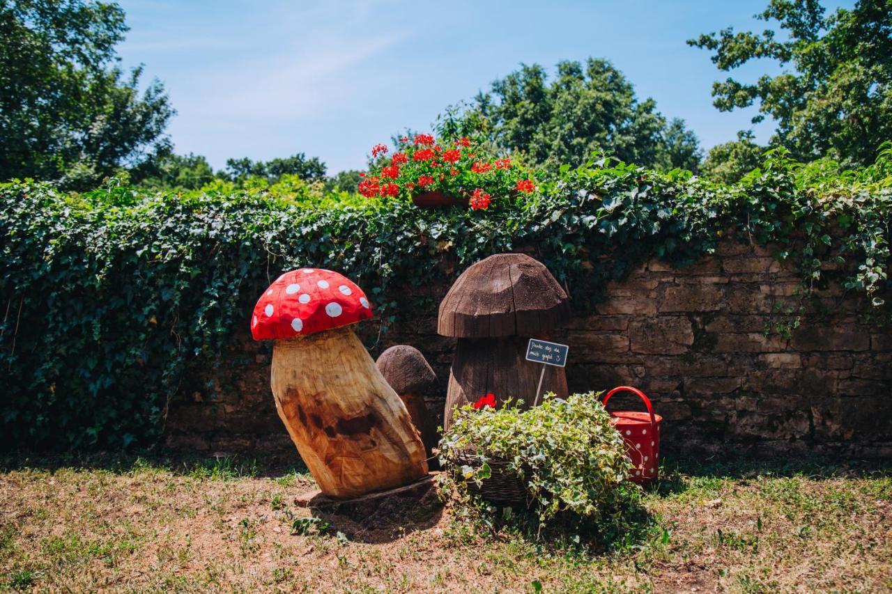 Vila Casa Karnevali Žminj Exteriér fotografie